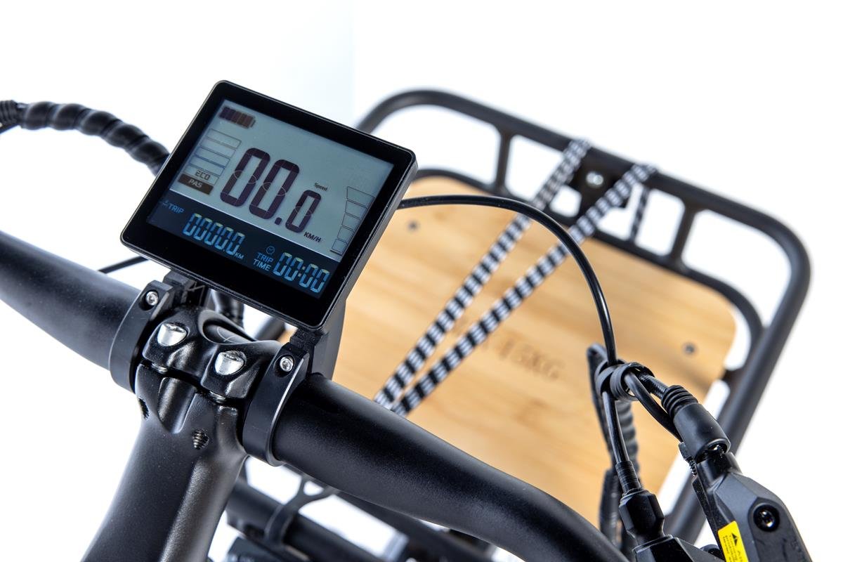 E-LONGTAIL Elektrofahrrad – Bild 5