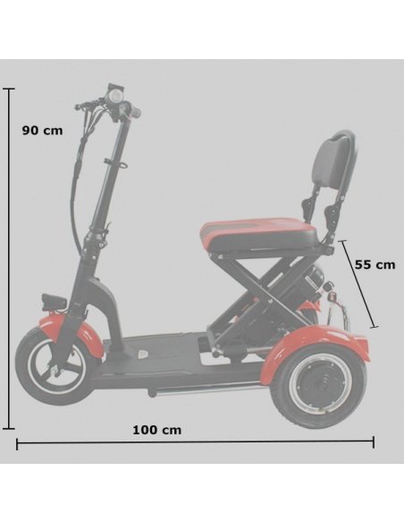 DEVO E-Scooter mit 3 Rädern, 300/600 Watt, für Menschen mit eingeschränkter Mobilität und Senioren – Bild 26