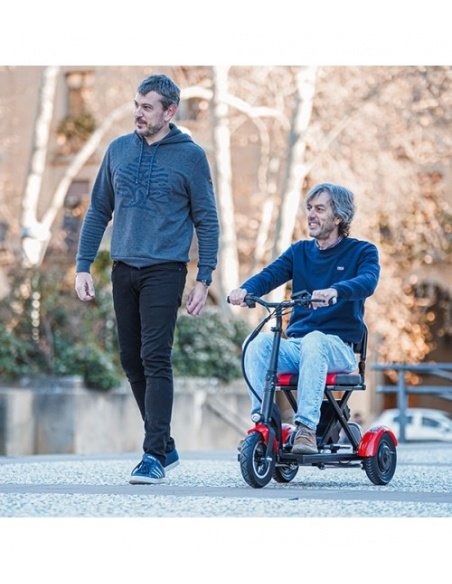 DEVO E-Scooter mit 3 Rädern, 300/600 Watt, für Menschen mit eingeschränkter Mobilität und Senioren – Bild 28