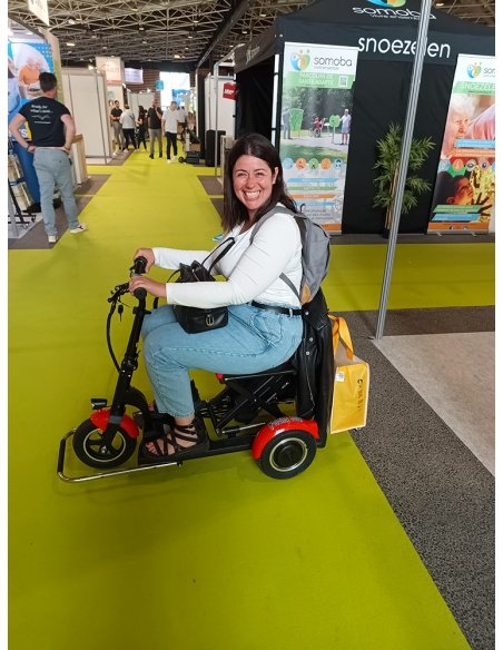 DEVO E-Scooter mit 3 Rädern, 300/600 Watt, für Menschen mit eingeschränkter Mobilität und Senioren – Bild 9