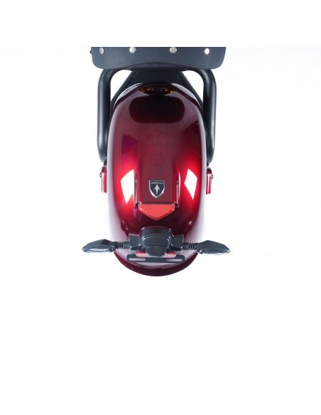 M8S Elektro-Chopper-Scooter mit 2 Rädern, 2000W / 4000W, hohe Geschwindigkeit – Bild 17