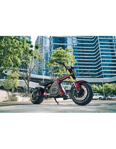 M8S Elektro-Chopper-Scooter mit 2 Rädern, 2000W / 4000W, hohe Geschwindigkeit – Bild 27
