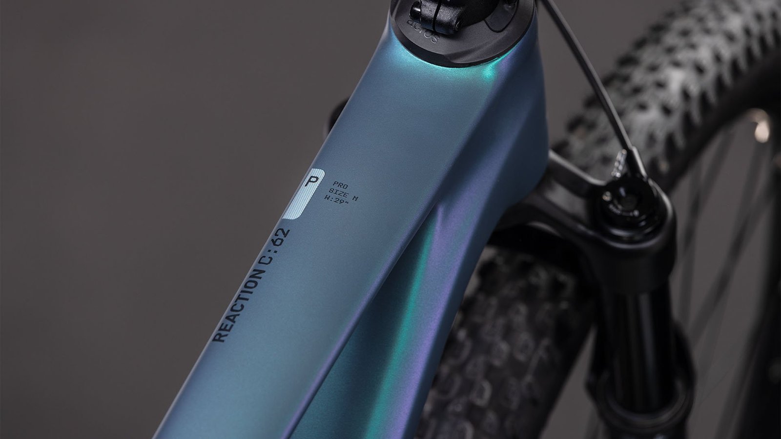 REAKTION C:62 PRO – Bild 3