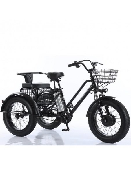 Elektro-Dreirad Fatbike Cross mit 2 Sitzplätzen für Menschen mit eingeschränkter Mobilität, 500 Watt – Bild 2