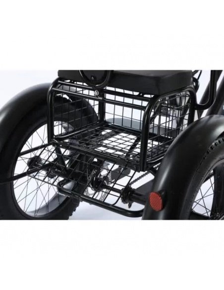 Elektro-Dreirad Fatbike Cross mit 2 Sitzplätzen für Menschen mit eingeschränkter Mobilität, 500 Watt – Bild 14