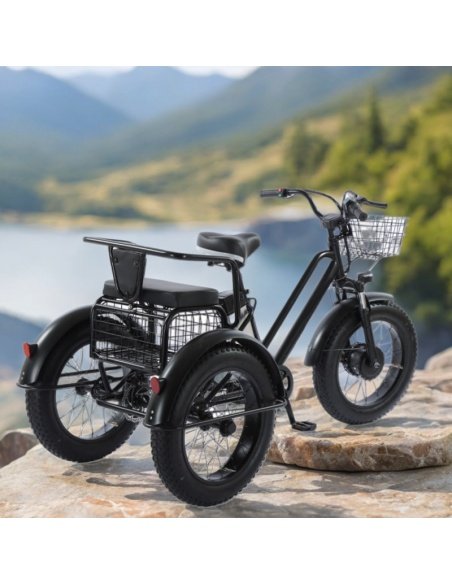 Elektro-Dreirad Fatbike Cross mit 2 Sitzplätzen für Menschen mit eingeschränkter Mobilität, 500 Watt – Bild 16