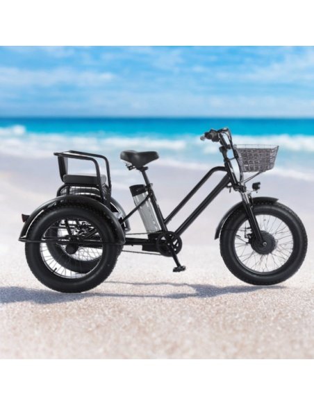 Elektro-Dreirad Fatbike Cross mit 2 Sitzplätzen für Menschen mit eingeschränkter Mobilität, 500 Watt – Bild 17