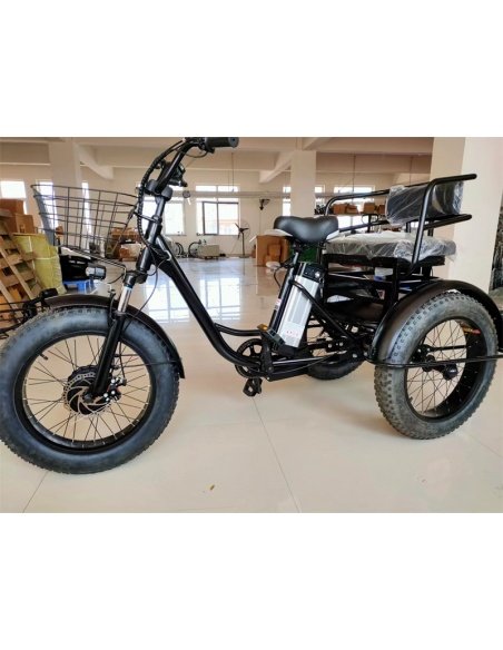 Elektro-Dreirad Fatbike Cross mit 2 Sitzplätzen für Menschen mit eingeschränkter Mobilität, 500 Watt – Bild 19