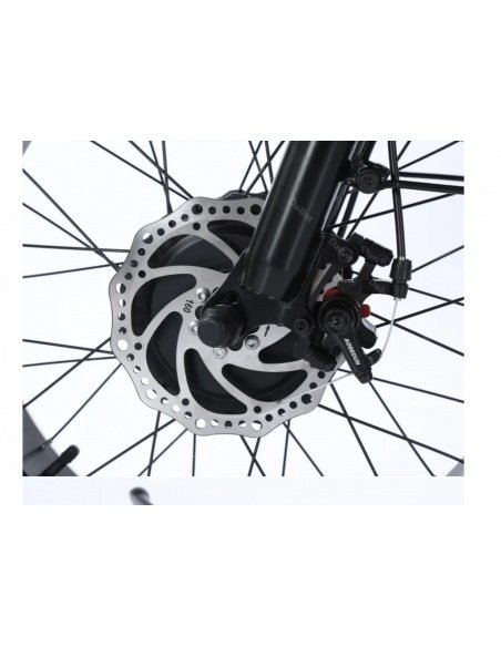 Elektro-Dreirad Fatbike Cross mit 2 Sitzplätzen für Menschen mit eingeschränkter Mobilität, 500 Watt – Bild 6