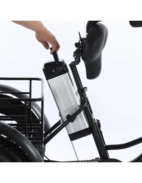 Elektro-Dreirad Fatbike Cross mit 2 Sitzplätzen für Menschen mit eingeschränkter Mobilität, 500 Watt – Bild 9