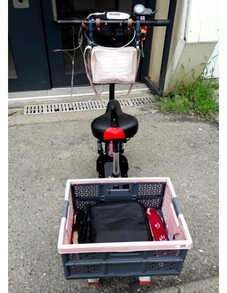 Geländegängiger Offroad E-Scooter mit Sitz für Senioren, 3 Räder – Hikerboys – Bild 16